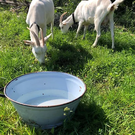 Na Zielonej Gorce Holiday home