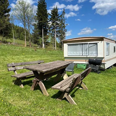 Na Zielonej Gorce Szarocin