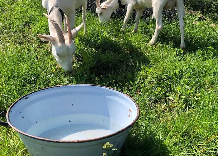 Na Zielonej Gorce Holiday home